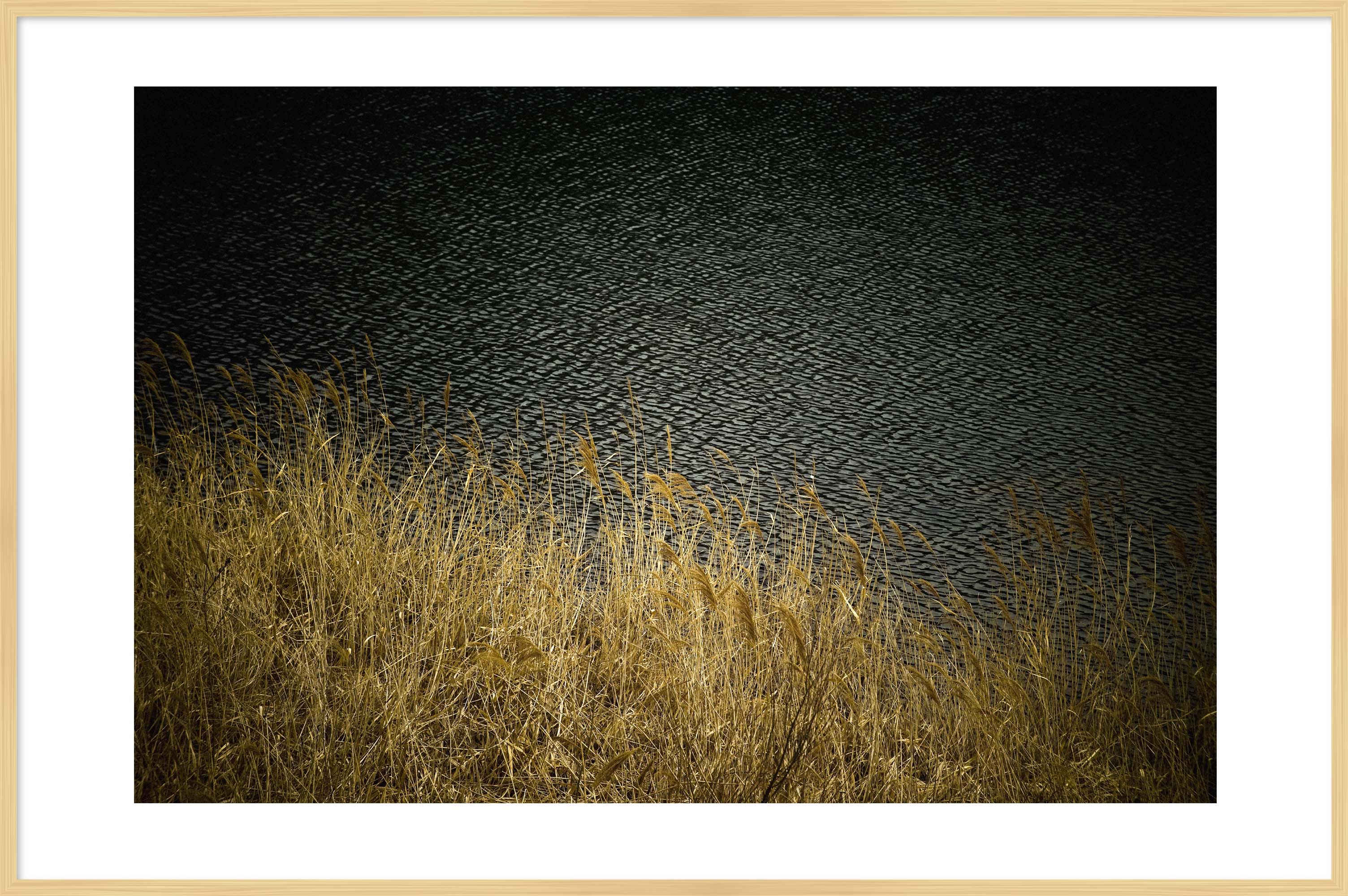 写真の説明を入れます
