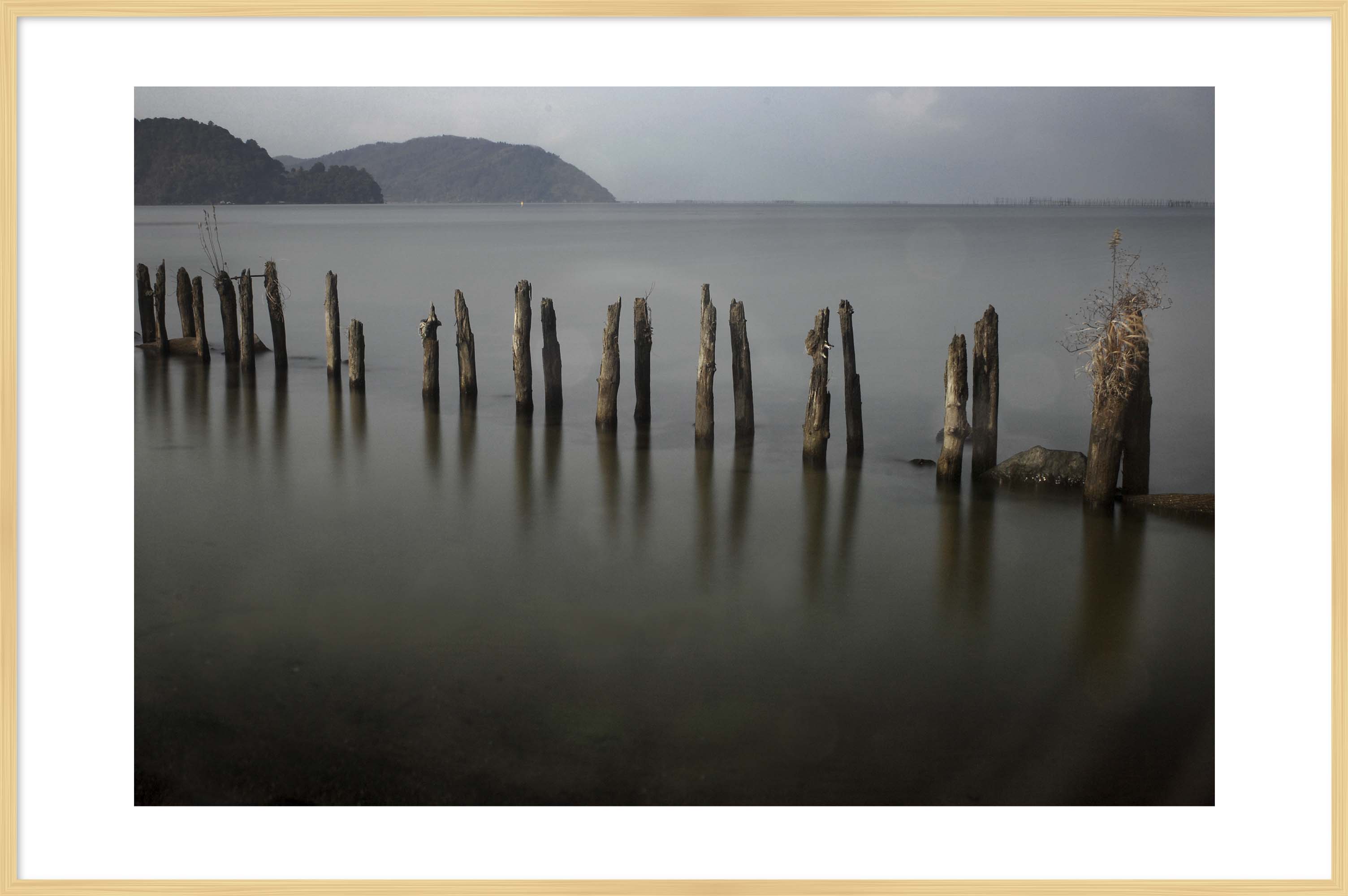 写真の説明を入れます