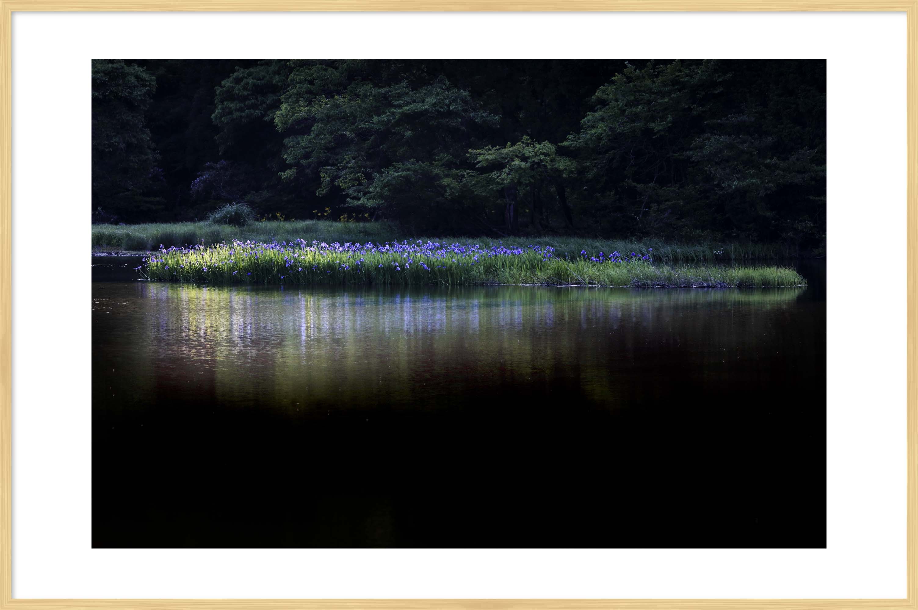 写真の説明を入れます